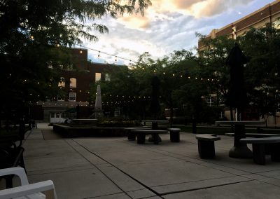 Summer Evening in the Courtyard