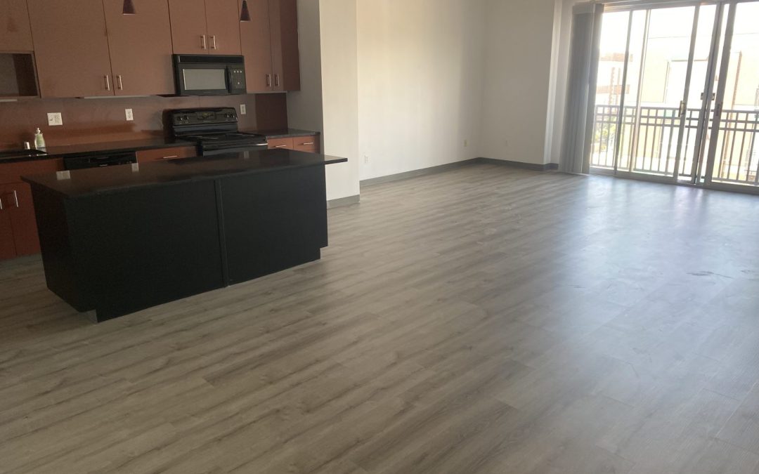 400 Central Ave SE, Unit 302